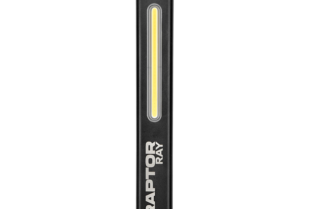 RAP0495
